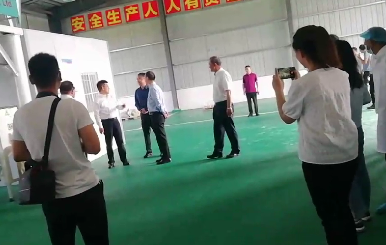 視頻實拍